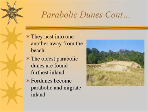 PPT - Dunes PowerPoint Presentation, free download - ID:5121601