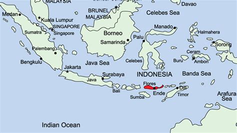 Homo floresiensis | BioEd Online