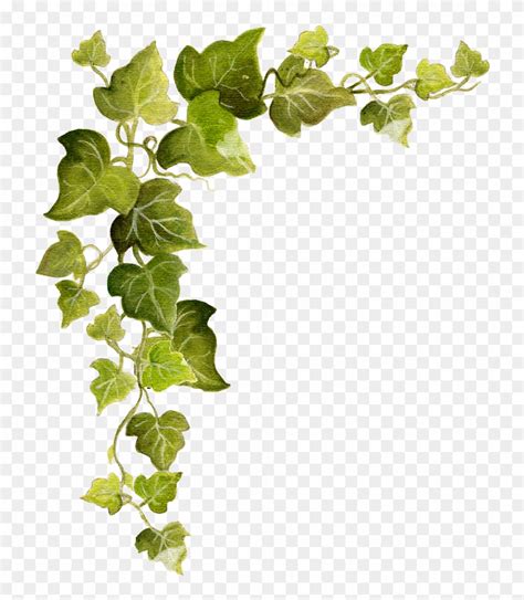 Ivy Snip Flickr Photo Sharing Pumpkin Corner Border Clipart (#2437056) - PinClipart