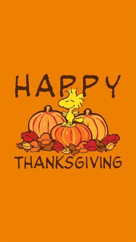 Cute Thanksgiving Backgrounds Wallpaper