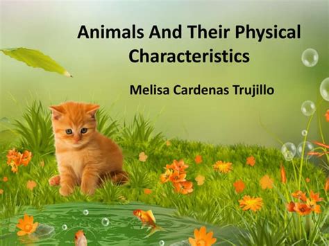 Animals and their physical characteristics | PPT