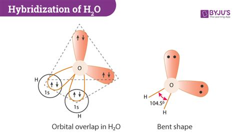 H2O Lewis Structure - Drawing Method of H2O Lewis Structure, Molecular ...