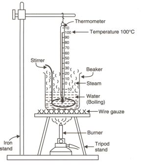 Draw a labelled diagram of the experimental setup to study the latent heat of vaporization of water