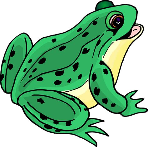 Frog clip art cartoon free clipart images - ClipartBarn