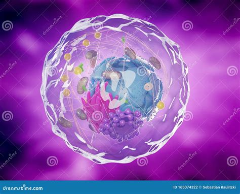 A healthy human cell stock illustration. Illustration of microbiology - 165074322