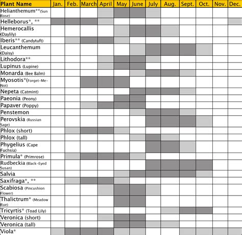 Perennial Bloom Calendar: Designing for Four Seasons of Flowers! – Site For Everything