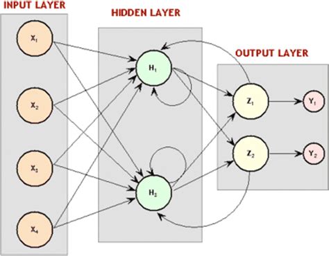 Architecture of multi-layer perceptron model | Download Scientific Diagram