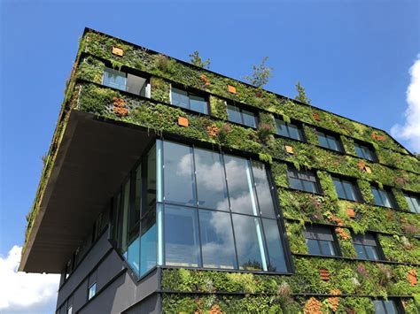 Net Zero Energy Buildings: All You Need to Know.