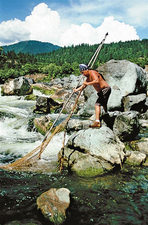 ‘A cultural tragedy’: Karuk Tribe cuts salmon harvest to 200 fish ...