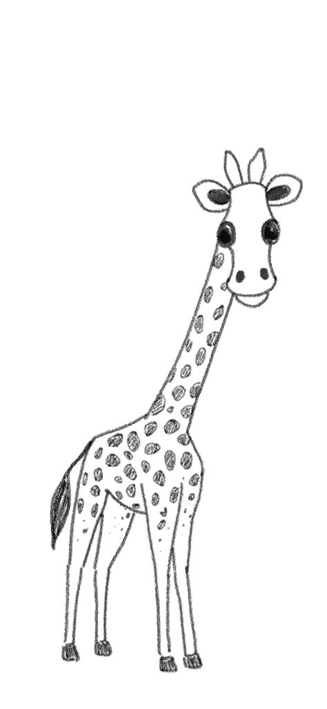 Update more than 82 giraffe sketch easy - in.eteachers