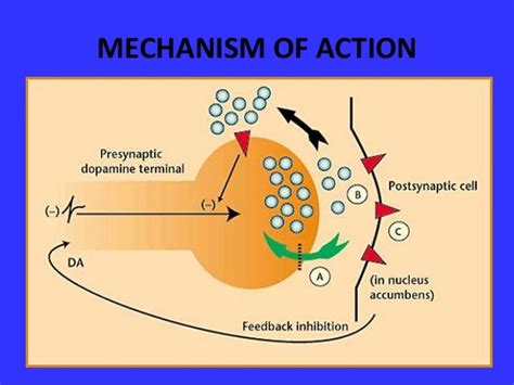 atomoxetine & methylphenidilate