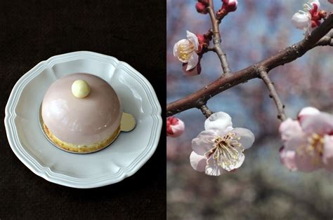 Cherry Blossom Mousse Cakes | Baking with Marianne