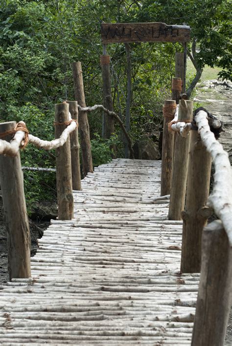 Rustic wooden footbridge-5975 | Stockarch Free Stock Photos