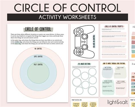 Circle of Control Therapy Worksheets Things I Can Control - Etsy Finland