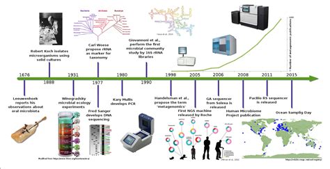 Figure 1 from The Road to Metagenomics: From Microbiology to DNA ...