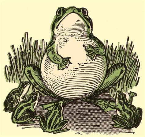 Frog Hopper Glen: Vintage Frog Illustrations - Cartoon Style