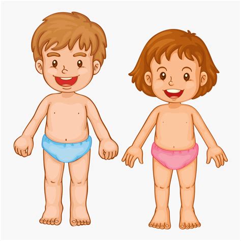 Chest Clipart Child - Kids Body Clipart, HD Png Download , Transparent Png Image - PNGitem