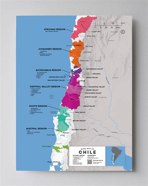 Chilean Wine Regions: A Guide To The Best Vineyards & Wineries