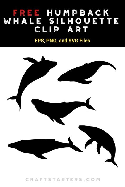 Free Humpback Whale Silhouette Clip Art | Whale silhouette, Silhouette clip art, Fish silhouette