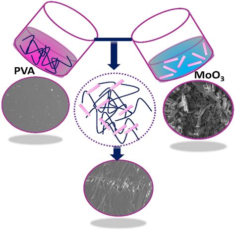 Schematic diagram for the synthesis process of PVA/MoO3 polymer... | Download Scientific Diagram