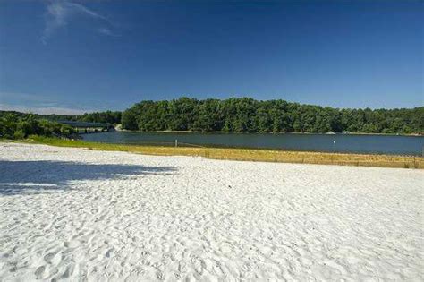 7 Lake Lanier beaches for family fun - Gainesville Times