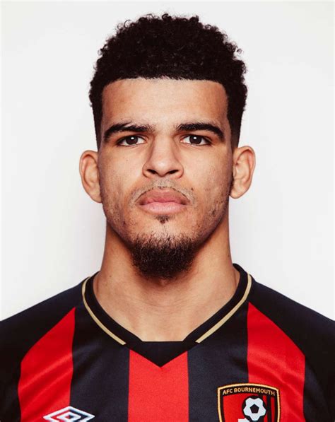 AFCB - Dominic Solanke | Dominic solanke, Premier league goals, Afc bournemouth