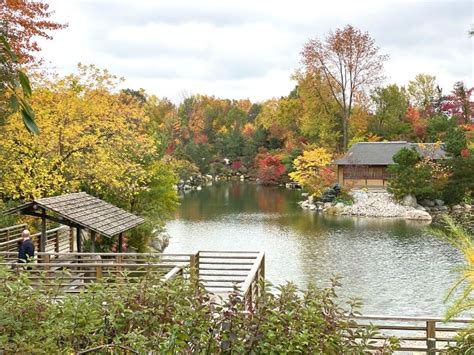 Frederik Meijer Gardens in Fall: 25 Colorful Reasons to Visit Right Now ...