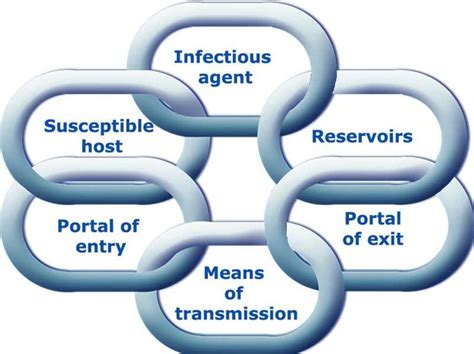 Chain of infection; if one of the chains break, you the whole process cannot be completed ...