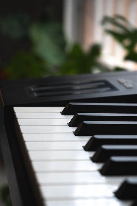 Piano Keyboard in Close-up Photography · Free Stock Photo