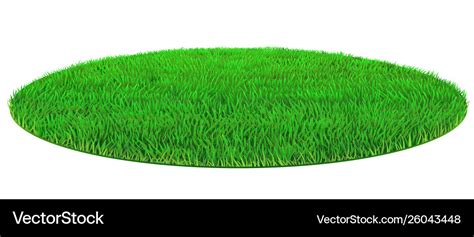 Oval green lawn grass texture Royalty Free Vector Image