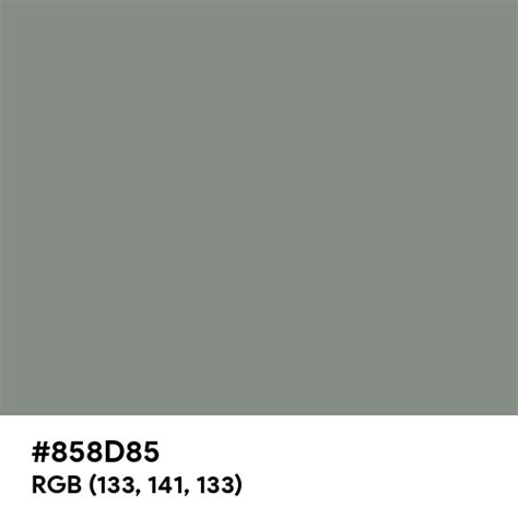 #858D85 color name is Dolphin Gray