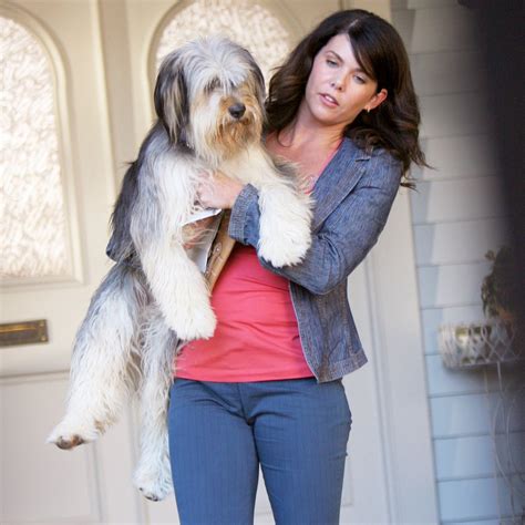 'Gilmore Girls' Revival: Lorelai's Dog Paul Anka Returning