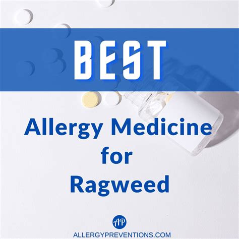 Best Allergy Medicine for Ragweed - Allergy Preventions