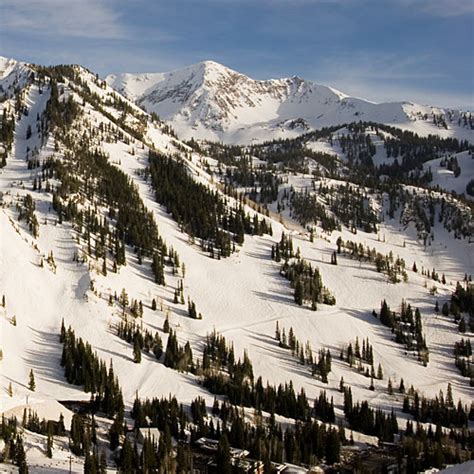 Snowbird Ski & Summer Resort