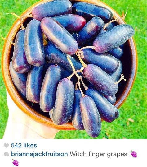 Witch finger grapes