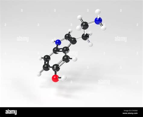 Serotonin molecule Computer model showing the structure of a molecule of the neurotransmitter ...