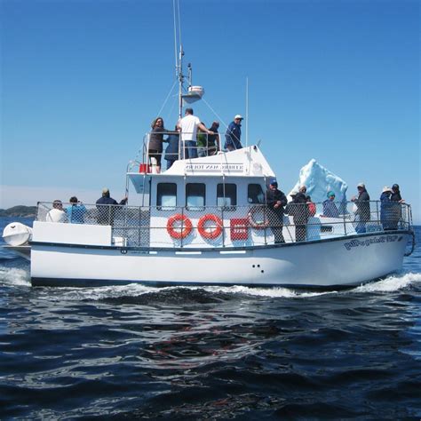 Twillingate Island Boat Tours – See Icebergs & Whales! » MV Iceberg Alley