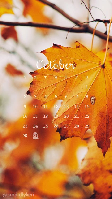 October Leaves HD Wallpapers - Wallpaper Cave