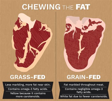 Our Grass-Fed Beef - Kansas City Grass-Fed Beef