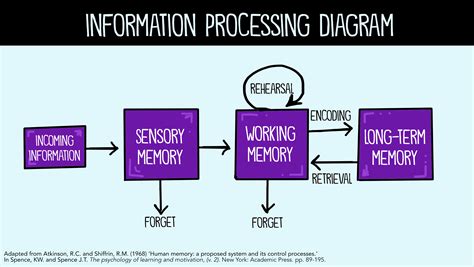 info processing diagram - John Spencer