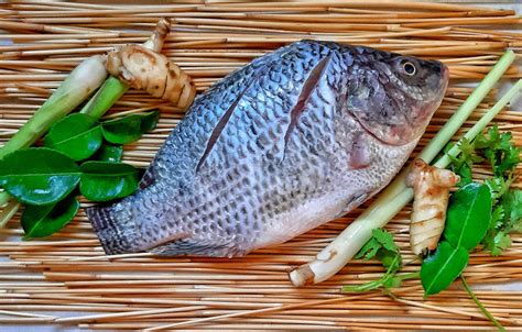 Los beneficios de comer mojarra de cultivo - Animal Gourmet