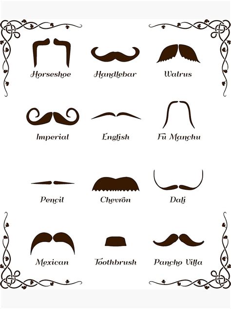 Moustache Styles Chart