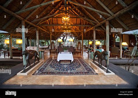 Royal Malewane Safari interior, South Africa Stock Photo - Alamy