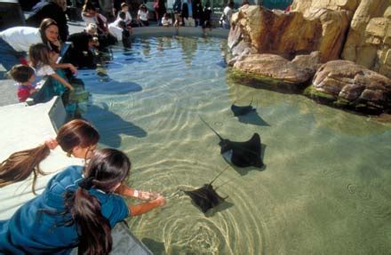 Long Beach, California: Aquarium of the Pacific photo, picture, image