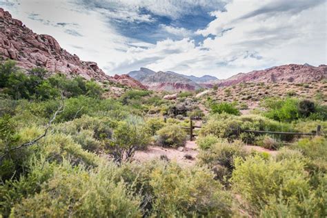 Beautiful View of the Red Rock National Park in Nevada, USA Stock Image - Image of national ...