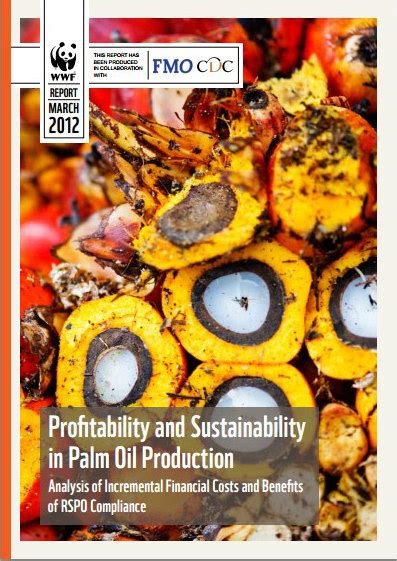 REPORT: Profitability and Sustainability in Palm Oil Production | WWF