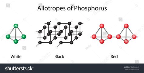 Phosphorus Images, Stock Photos & Vectors | Shutterstock