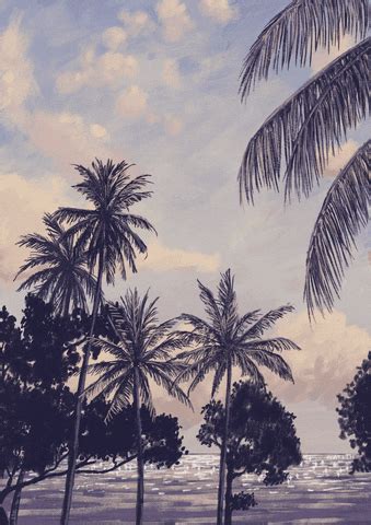 Coconut Trees GIFs - Get the best GIF on GIPHY