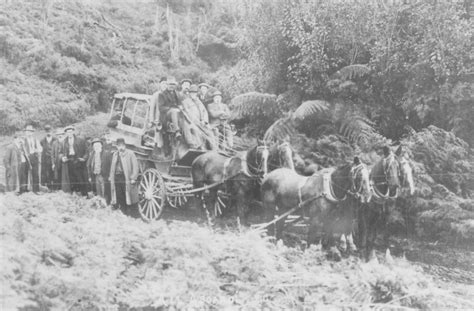 Coach with Horses - Te Awamutu Museum