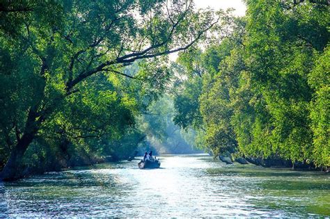 Best Tourist Places In Sundarban that you Don't Want to Miss Out On!